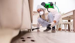 Professional Pest Control in Colby, WI